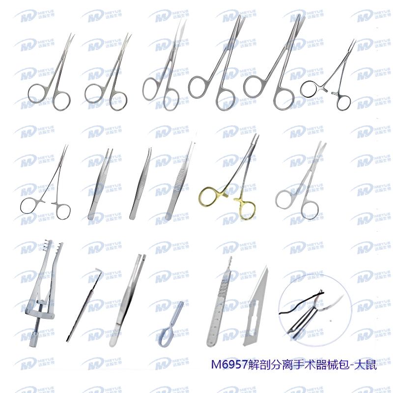 M6957解剖分離手術器械包-大鼠